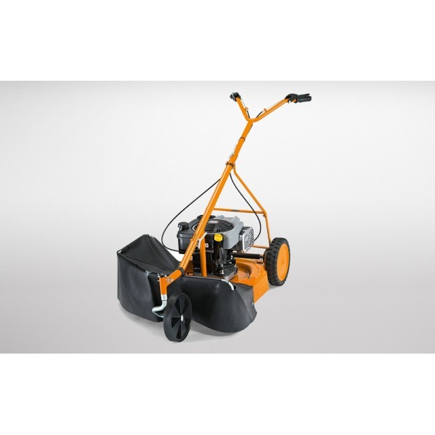 AS MOTOR AS 21 - 4 TPS - BRIGGS ET STRATTON